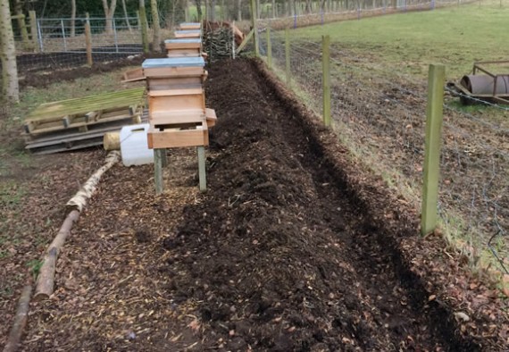 Apiary hedge trench