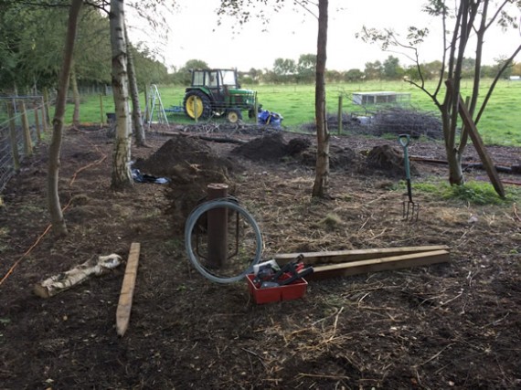 Apiary progress