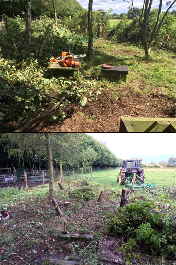 Apiary renovation
