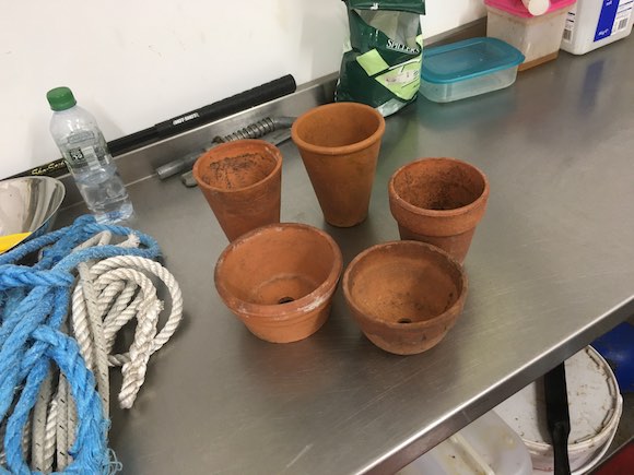 pots