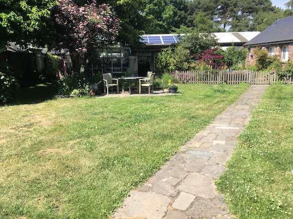 backgarden
