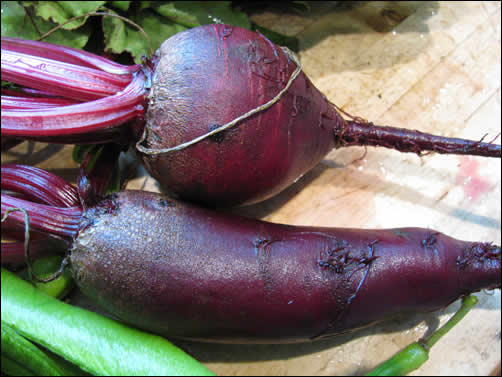 Forono beetroot