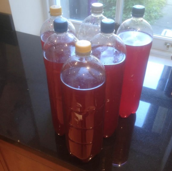 Bottled elderflower cordial