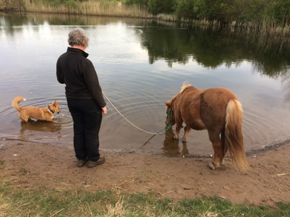 Bugsy paddling