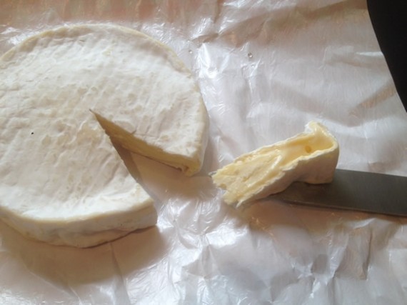 Camembert tasting