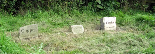 Cass's headstone.jpg