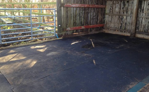 Rubber mats in field shelter