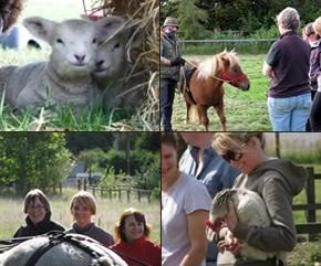 Smallholding Courses