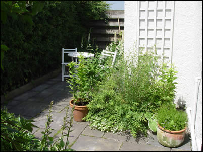 Courtyard June 2007