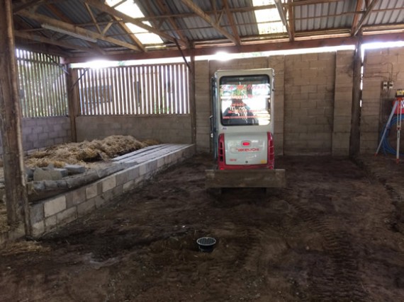 Barn wall down