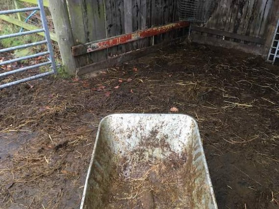 dirtyshelter
