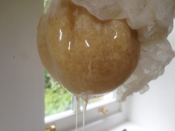 Straining honey from cell cappings