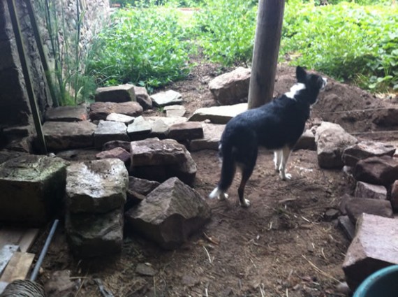 Start of the dry stone wall