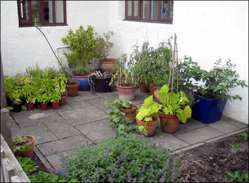 East patio