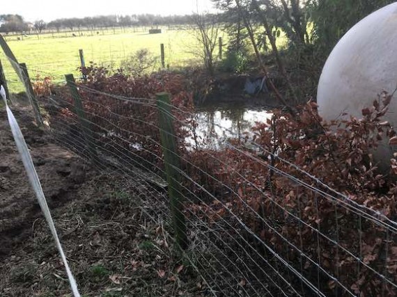 fence