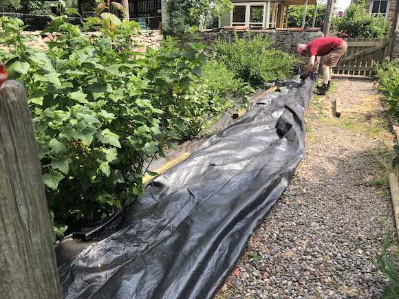 fruit-garden