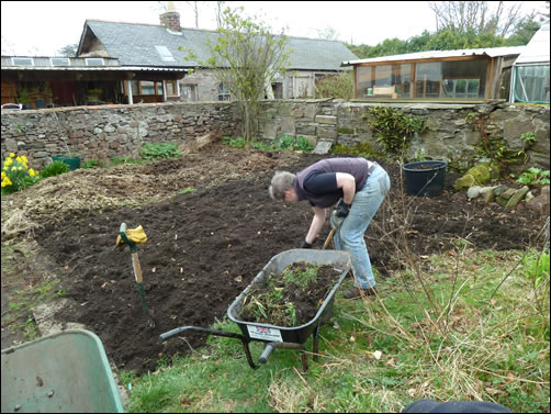 Fruit garden during