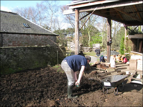 Fruit garden prep