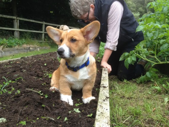 Gardener Bryn