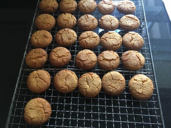 gingernuts