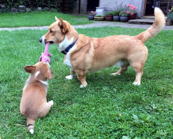 Bryn & Gwenna with Wubba