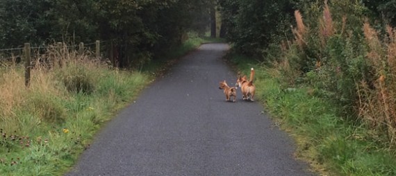 Gwenna's first walk