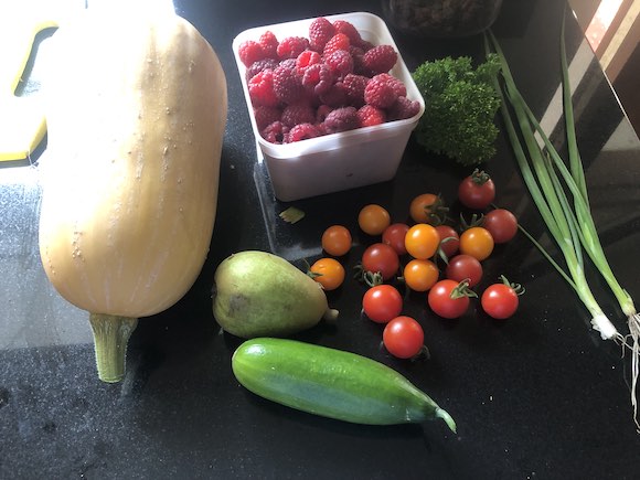 harvest