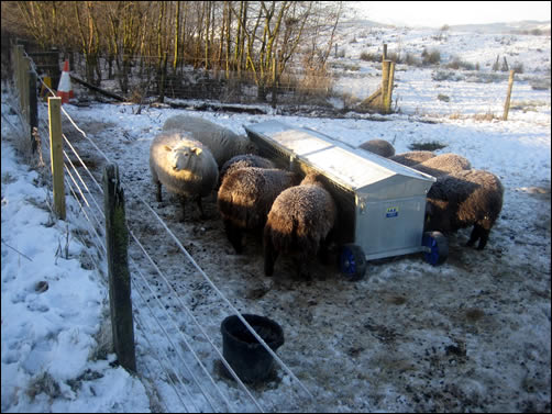 Covered hay rack