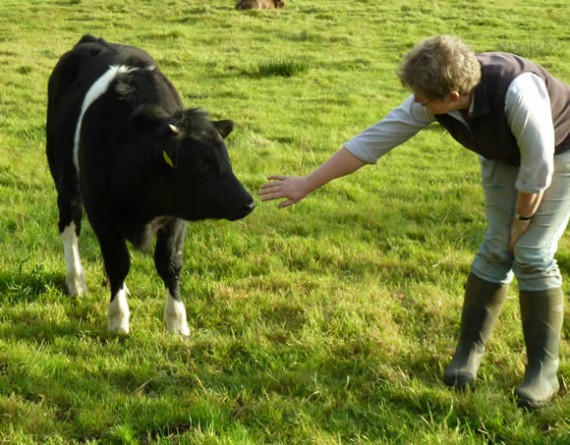 Henry and Rosemary