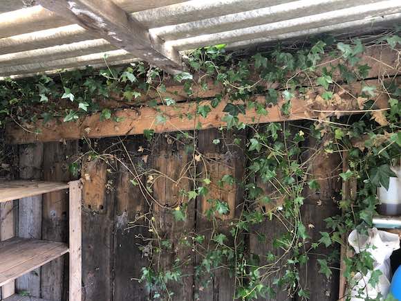 pottingshed