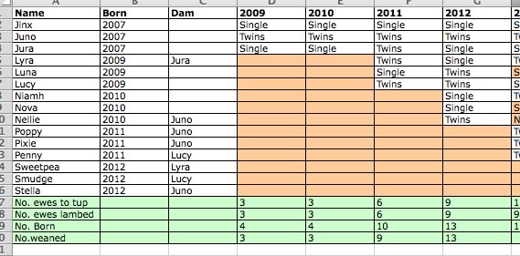 Lambing spreadsheet