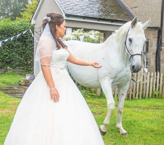 Equine bridesmaid