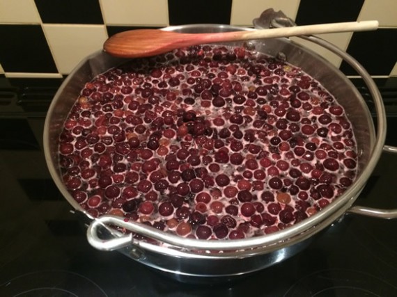 Making blackcurrant cordial