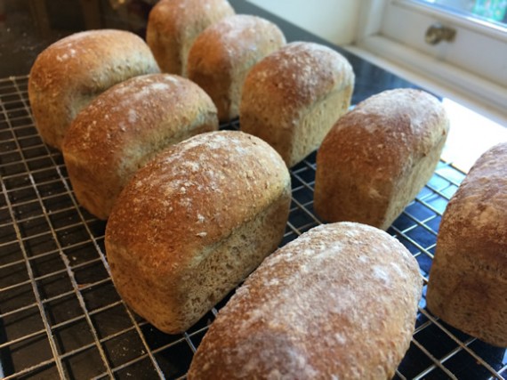 Mini wholemeal loaves