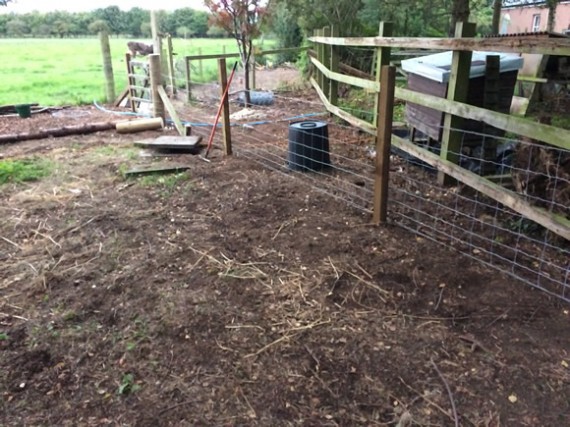 New apiary fence