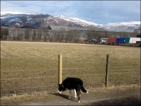 Ochil Hills and Tess