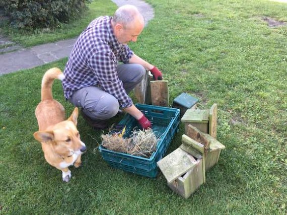 nestboxes