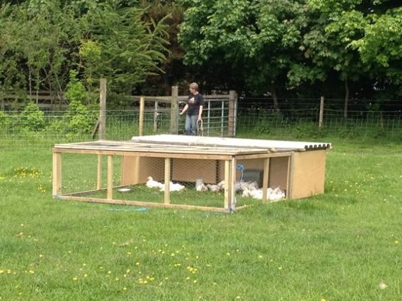 Pasture poultry pen