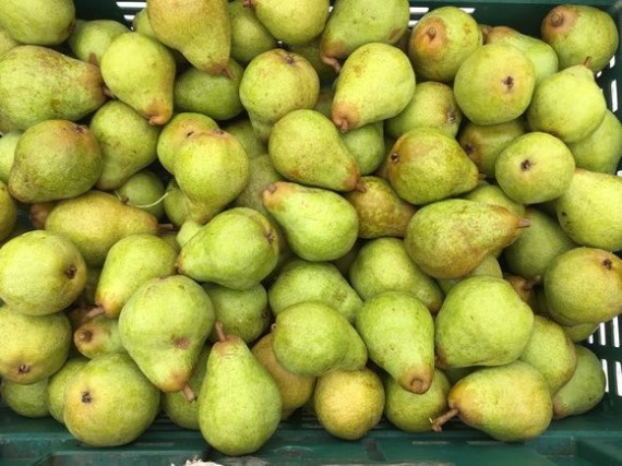 pears