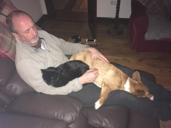 pets
