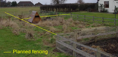 Pig ark and planned new fencing