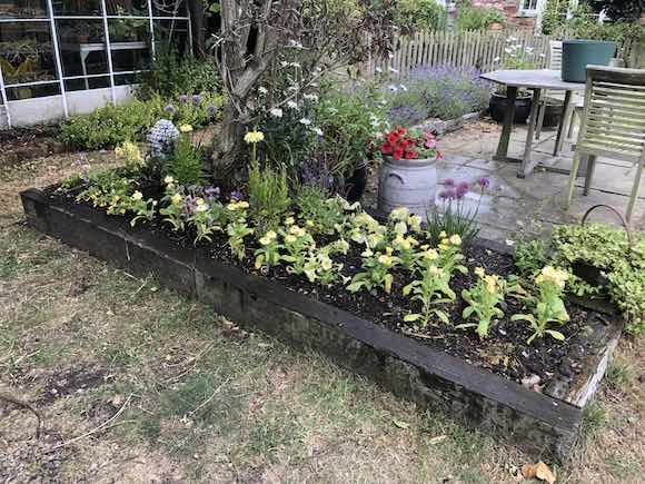 planted-bed