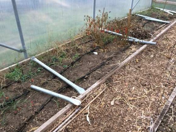 polytunnel