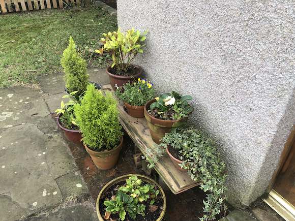 pots