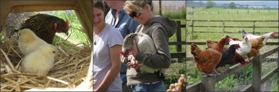 Poultry-keeping course