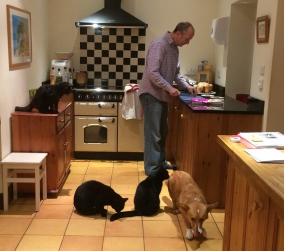 Roast chicken audience