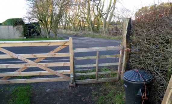 Scabby pallet gate