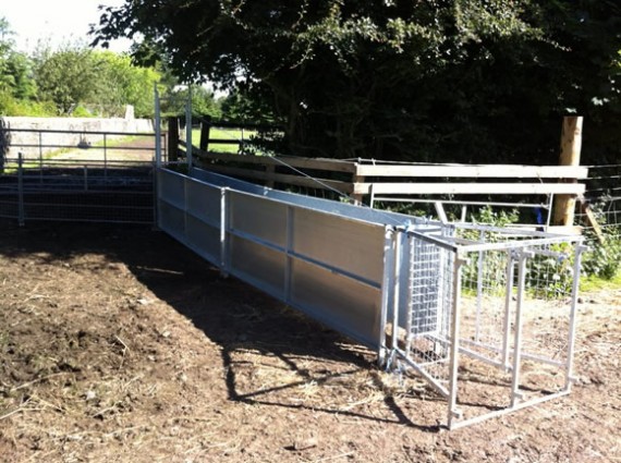 Sheep handling facility