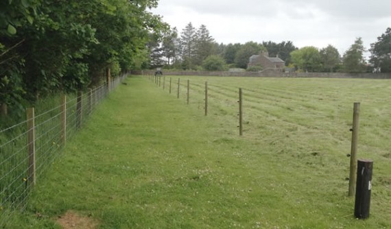 Sheepfold posts