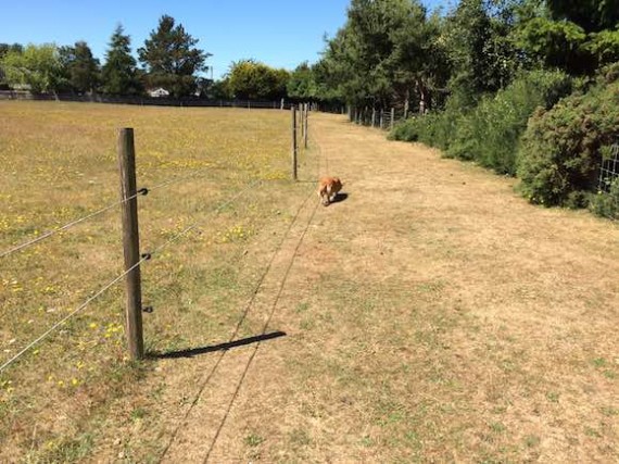 Sheepfold